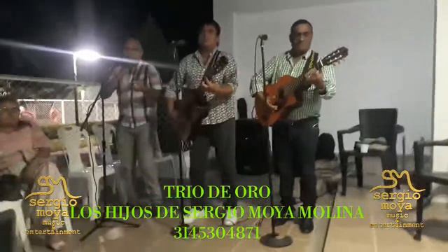 MOMENTOS DE AMOR(PASEO)FERNANDO MENESES R...TRIO DE ORO LOS HIJOS DE SERGIO MOYA MOLINA. смотреть онлайн