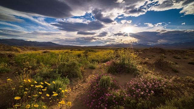 How to create a Sunstar in your photos смотреть онлайн