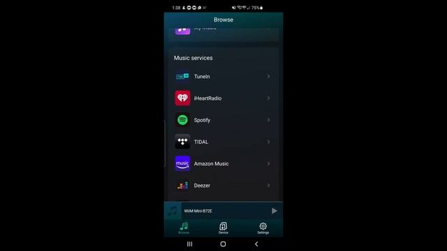 Wiim Mini Streamer Review смотреть онлайн