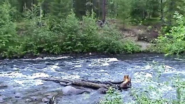 Карелия-2007.Река Калга. смотреть онлайн