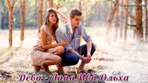 ВАШЕ ДЕРЕВО ТАЛИСМАН ПО ЗНАКУ ЗОДИАКА