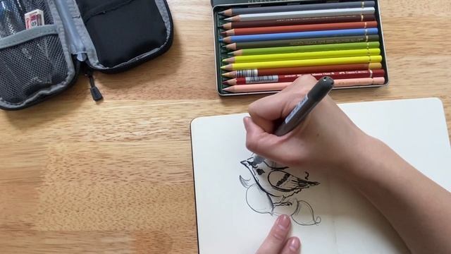 My Travel Sketch Kit ?️?️ | must-have art supplies, sketchbook with me, drawing a bird demo смотреть онлайн