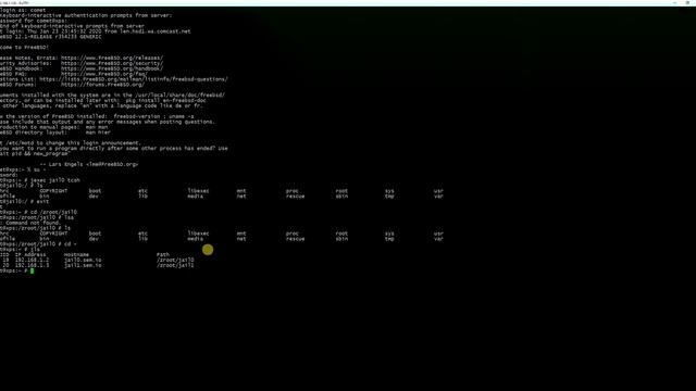 FreeBSD Jails Brief demo смотреть онлайн