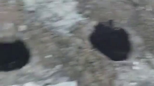 157.# НОВЫЕ РОЗОЧКИ У МЕНЯ В САДУ.Розу Кордана из горшочка сажаю в сад. смотреть онлайн