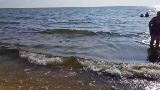 "Медуз вообщє немає" ПОГОДА, МОРЕ, СЕГОДНЯ СЧАСТЛИВЦЕВО / АРАБАТСКАЯ СТРЕЛКА смотреть онлайн