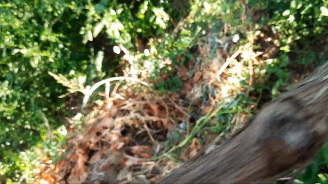 Подарок Несвятая ч.2 смотреть онлайн