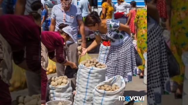 САЛОМ САЛОМ РОДНОЙ УЗБЕКИСТАН ПЕСНЮ 2019 ТАШКЕН SALOM UZBEKISTON LAYK 👍 BOSING смотреть онлайн