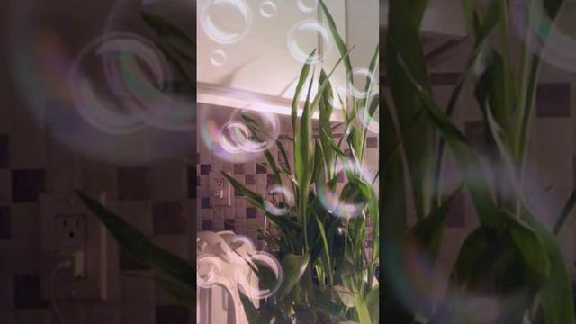 My Silent Livestream everyone is welcome смотреть онлайн