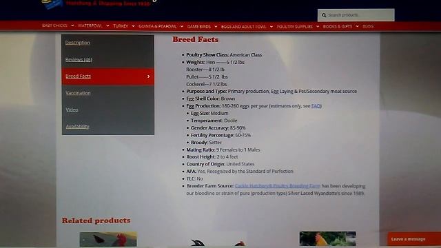 #137 Куры Wyandotte Bіандот . Цены на цыплят Wyandotte Bіандот в США смотреть онлайн