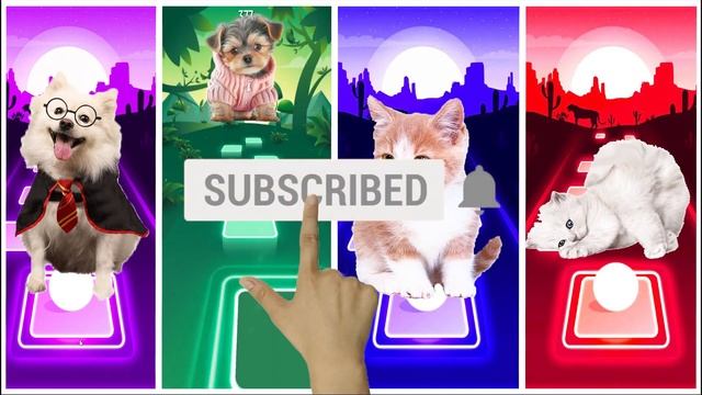Tiles Hop - Cute Dogs vs Cute Cats Lady Gaga Bloody Mary Shakira Waka Waka Bongo puppy vs cats смотреть онлайн