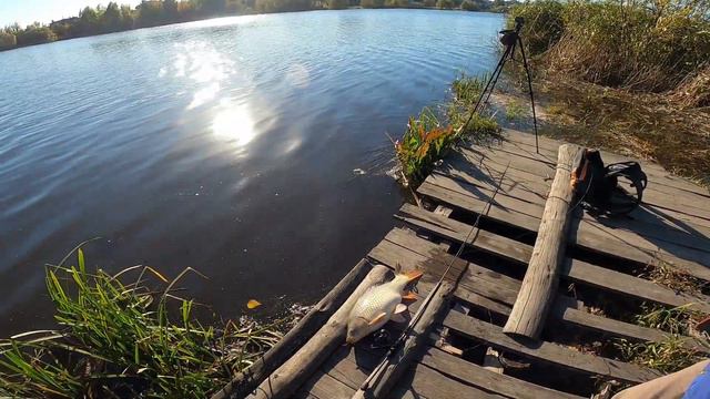 первая рыбалка на Favorite White Bird (2020) WBR1-762UL-T 2.29m 1.5-7g Fast и краш тест Black Swan смотреть онлайн