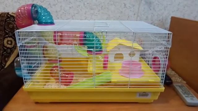 Новая клетка для Хомяка.г.Валуйки 2017г. смотреть онлайн