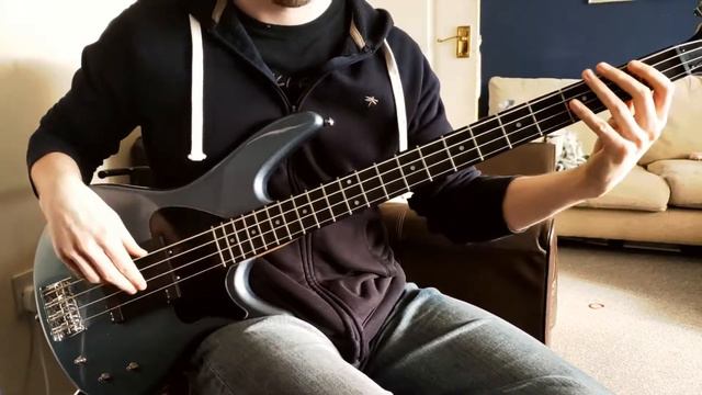 Weight of the World - Droid Bishop | Bass Cover смотреть онлайн