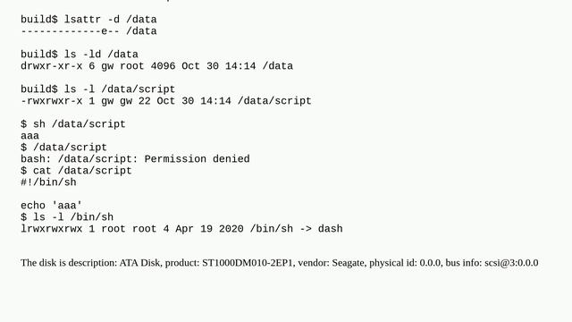 Why executable files (mode x flagged) under a folder cannot run? смотреть онлайн