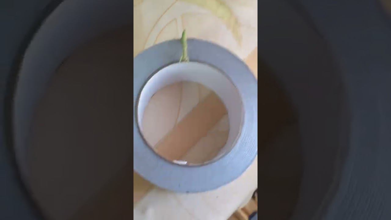 Самый опасный хищник! Мал да удал смотреть онлайн