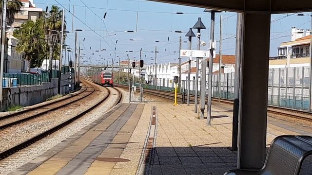 Португалия  Выиграла в лотерею!