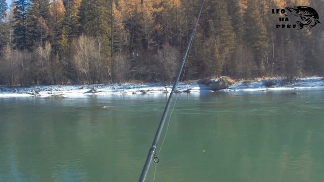 РЫБАЛКА НА ХАРИУСА. ГОРНЫЙ АЛТАЙ. РЕКА ЧУЯ ОКТЯБРЬ2021 смотреть онлайн
