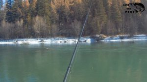 РЫБАЛКА НА ХАРИУСА. ГОРНЫЙ АЛТАЙ. РЕКА ЧУЯ ОКТЯБРЬ2021