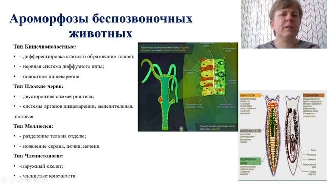 Биология. Макроэволюция. Главные пути и направления эволюции смотреть онлайн