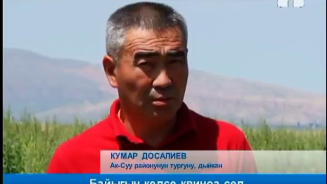 Байыгың келсе квиноа сеп смотреть онлайн