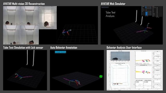 AVATAR system: Ai vision based 3D skeleton analysis for mice behavior test смотреть онлайн