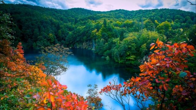 НАСТРОИ НА ОЗДОРОВЛЕНИЕ СЕРДЦА читает автор СЫТИН Г Н смотреть онлайн