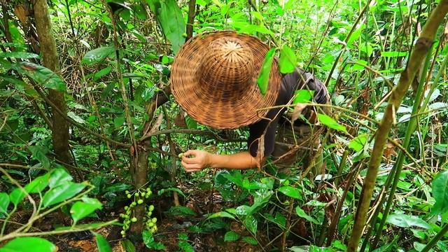 Renovating My Garden : Survival Alone In The Rainforest | EP.92 смотреть онлайн