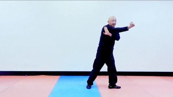 Kung Fu training 2021: Praying Mantis Kung Fu – a short form – Yi Duan