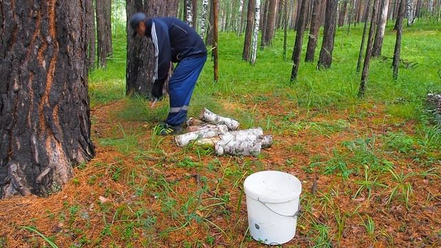 Чтобы щеки шире были ешь червивые грибы-ли смотреть онлайн