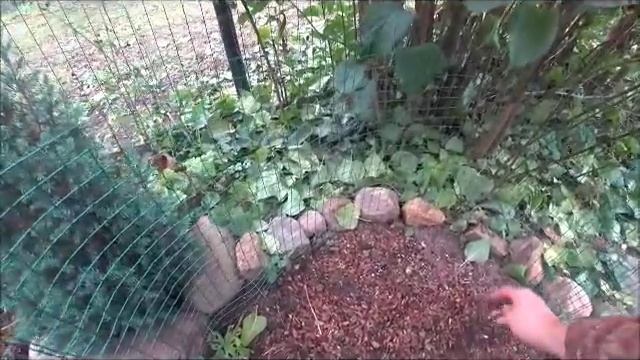 Готовка на Открытом Воздухе