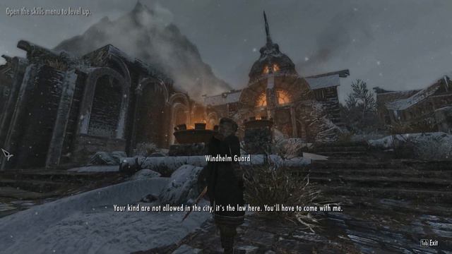 ASMR Gaming Skyrim [Whisper] Ep 34. "Mission for a cure" смотреть онлайн
