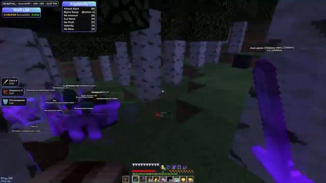 ? КУПИЛ ИНВЕНТАРЬ С ПАСХАЛКОЙ И АИДКОЙ НА REALLYWORLD | С КРЯКОМ CELESTIAL? 1.16.5 | НОВАЯ РУБРИКА смотреть онлайн