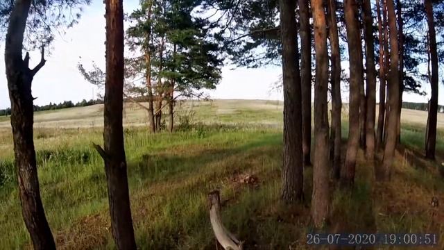 3 сосны смотреть онлайн