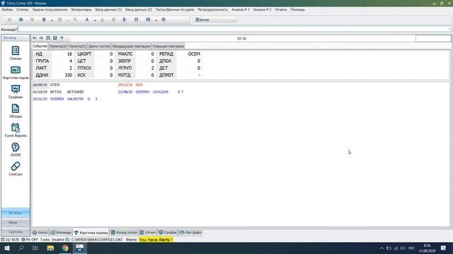 Как занести нового быка осеменения в программу DC305 смотреть онлайн