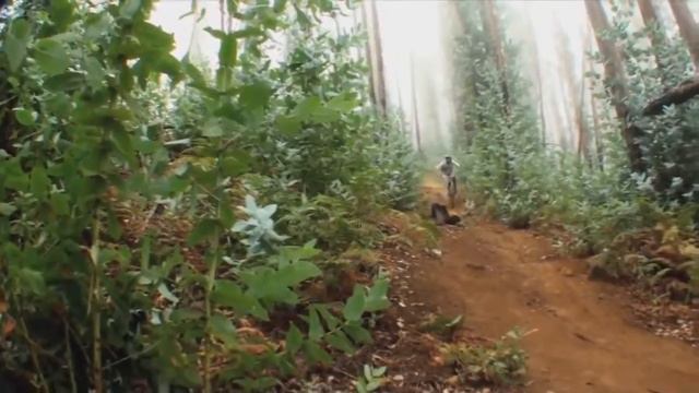 За что мы любим даунхилл   Downhill MTB Mix