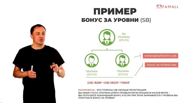 Маркетинг план FAMALL - Виталий Бугров