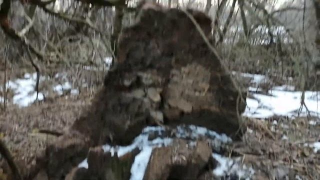 металокоп пиратом pi-w смотреть онлайн