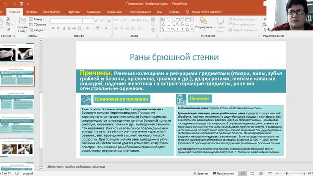Петрова Ю.Н. / ЗОО-221 / РО 03-03 / Тема: Особенности ран смотреть онлайн