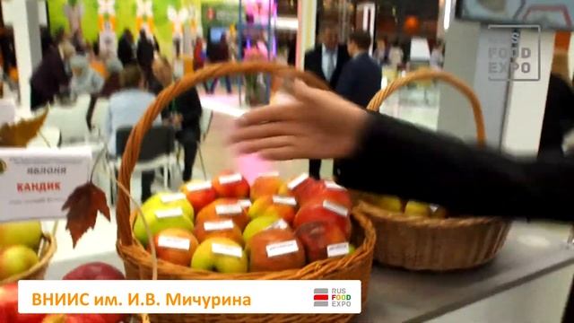 Институты садоводства и генетики им. Мичурина на выставке «Золотая осень 2016», Москва, 5-8 октября смотреть онлайн