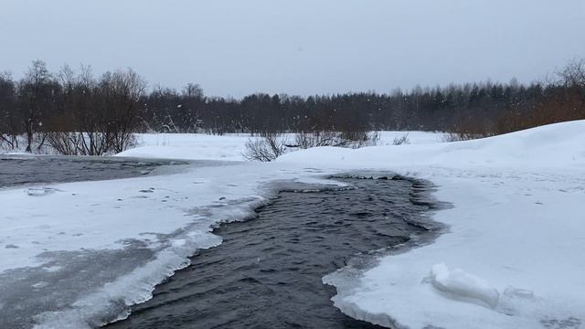 БРАЧНЫЙ ДОГОВОР | Истории из жизни. смотреть онлайн