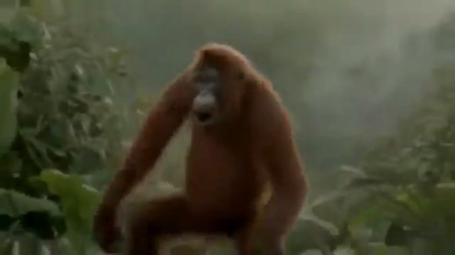 Диджей зажигает смотреть онлайн