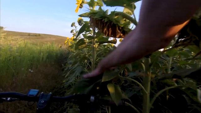 ПРИВІЗ БАЙК НА ДАЧУ / КОЛИ ЗАКІНЧИЛАСЬ ДОРОГА Частина 2 смотреть онлайн