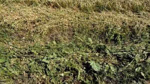 Как использовать ворошилку пальцевую для мотоблока.