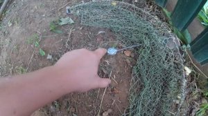 Ловушка для птиц от СУАС - первая постановка и сорока дома))))