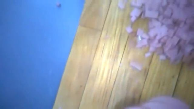 ШОК! Тараканы ползают по колбасе на складах "Гулливера" смотреть онлайн