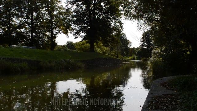 СОСЕД ОТОДРАНИЛ МОЮ ЖЕНУ НА ДАЧЕ. Истории из жизни. Жизненные истории и аудио рассказы про любовь смотреть онлайн