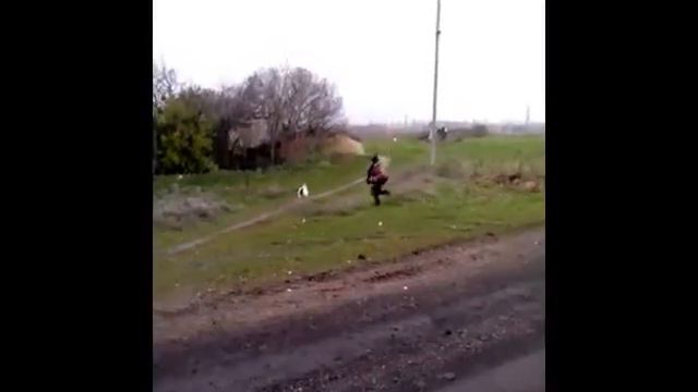 Петух нападает на детей! смотреть онлайн