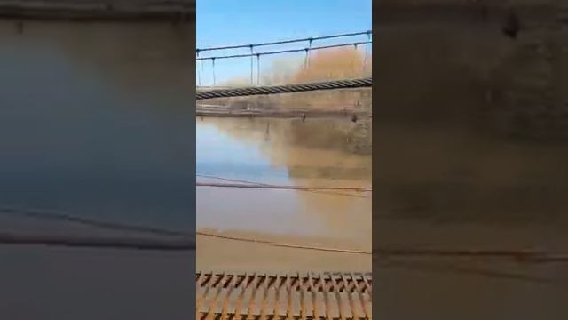 04.04.2019 г. Р. АЛЕЙ ,г. РУБЦОВСК . смотреть онлайн