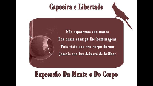 Um Menino - Mestre Cobra - Abadá-Capoeira - Capoeira Music смотреть онлайн