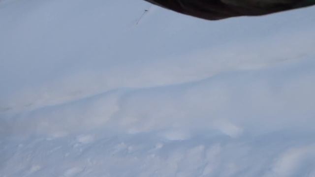 Борман инспектор парка "Мещера" кроет матом, беспредел в лесу смотреть онлайн